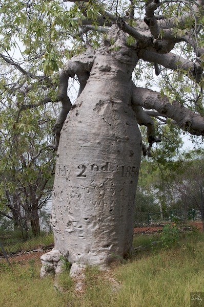 AustraliaAdelaide 10  006